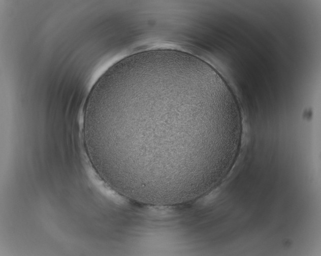 X0000113981198200910021129