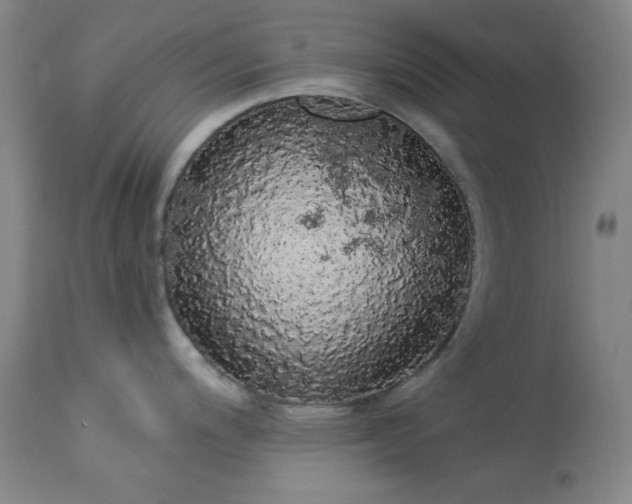 X0000113981200200910021129