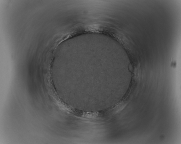 X0000113981201200910021128