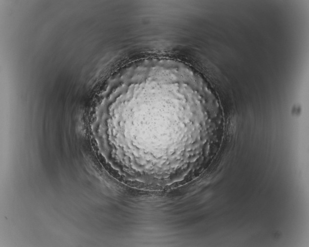 X0000113981202200910021128