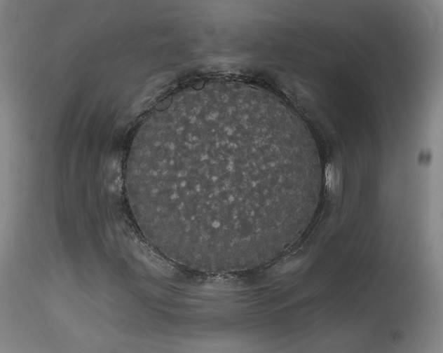 X0000113981203200910021128