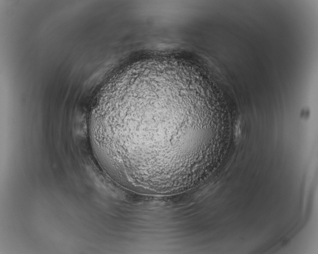 X0000113981204200910021128