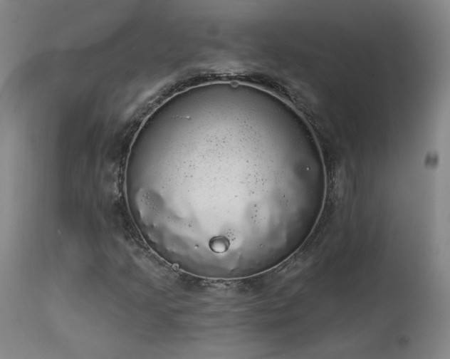 X0000113981205200910021128