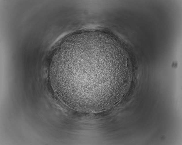 X0000113981206200910021128