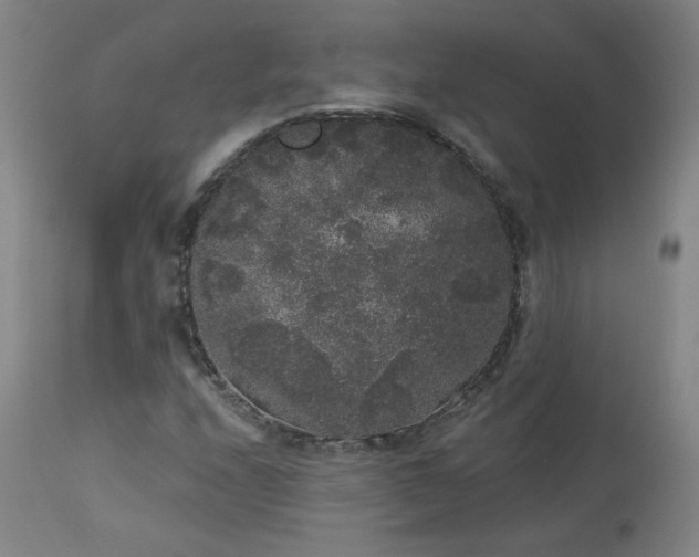 X0000113981208200910021128