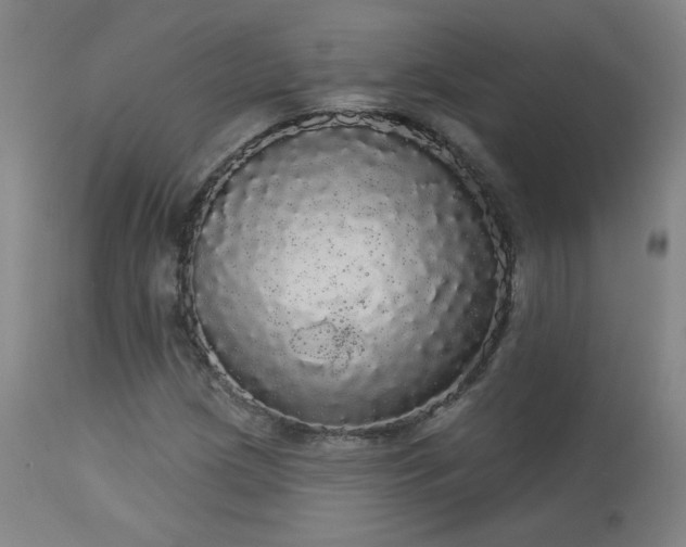 X0000113981209200910021128