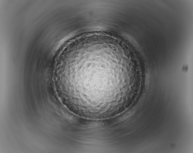 X0000113981210200910021128