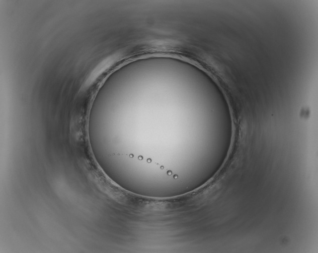 X0000113981211200910021128