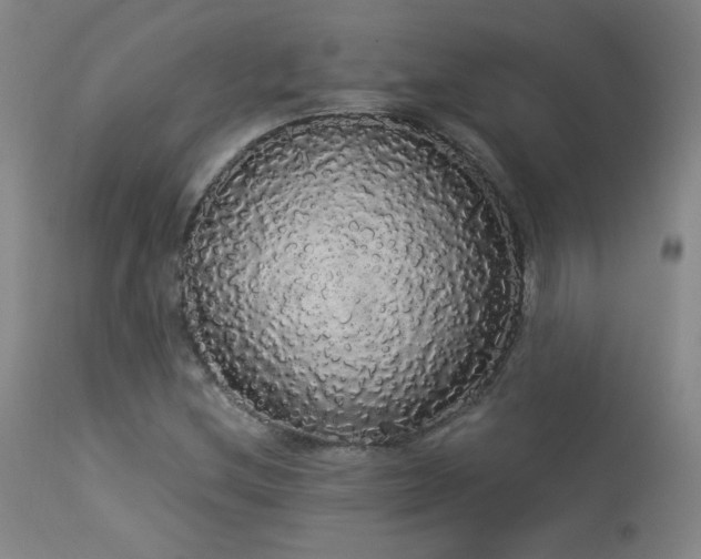 X0000113981212200910021128