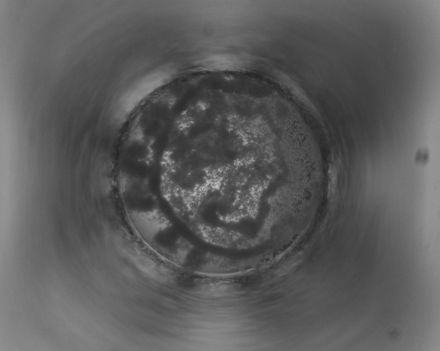 X0000113981213200910021128
