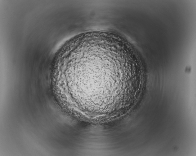 X0000113981214200910021128