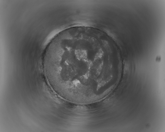 X0000113981215200910021128
