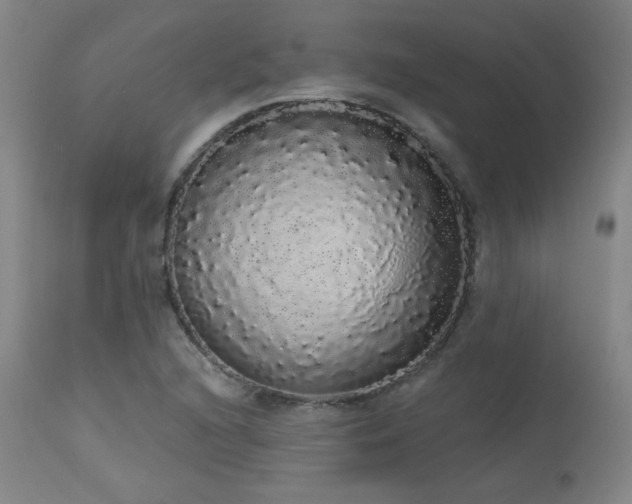 X0000113981216200910021128