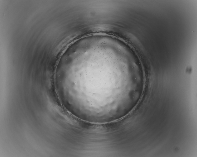 X0000113981217200910021128