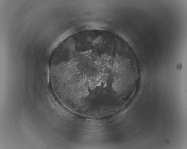 X0000113981219200910021128