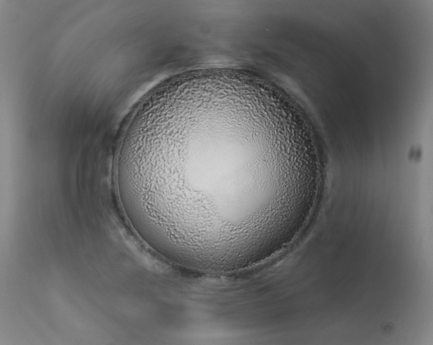 X0000113981220200910021128