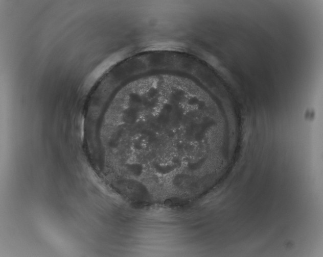 X0000113981221200910021128