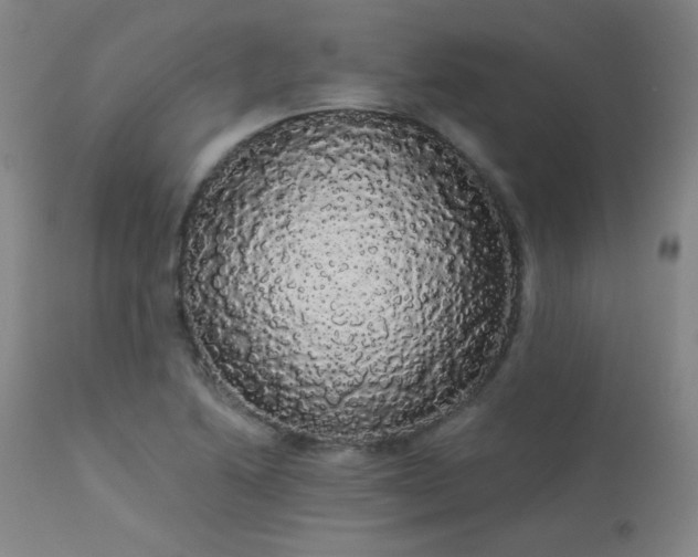 X0000113981222200910021128