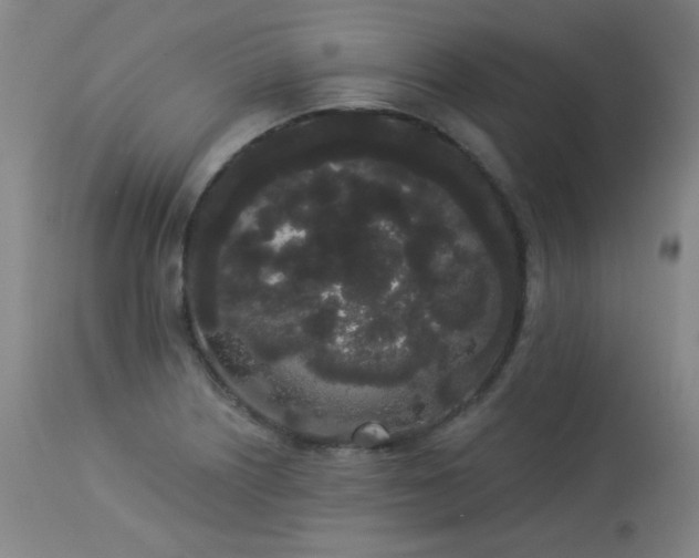 X0000113981226200910021128
