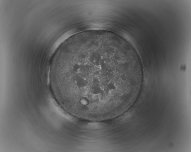 X0000113981227200910021128