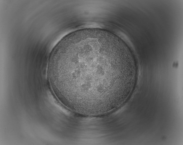 X0000113981228200910021129