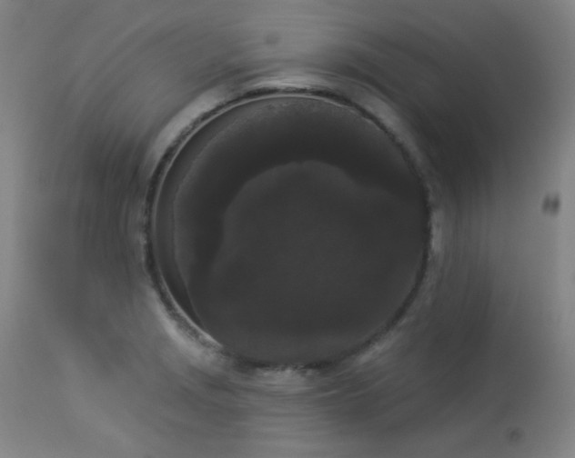 X0000113981229200910021129