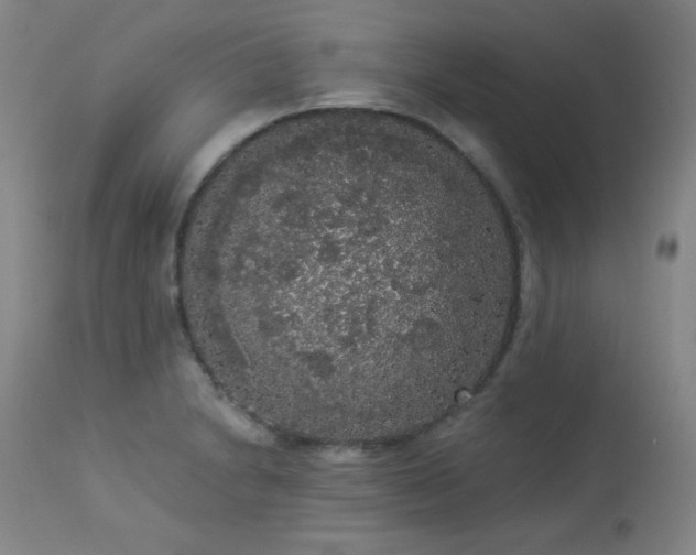 X0000113981230200910021129