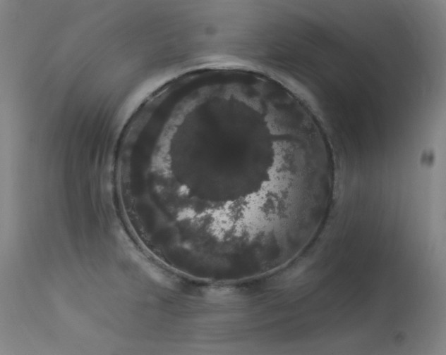X0000113981231200910021129
