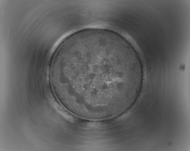 X0000113981232200910021129