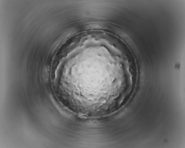 X0000113981233200910021129