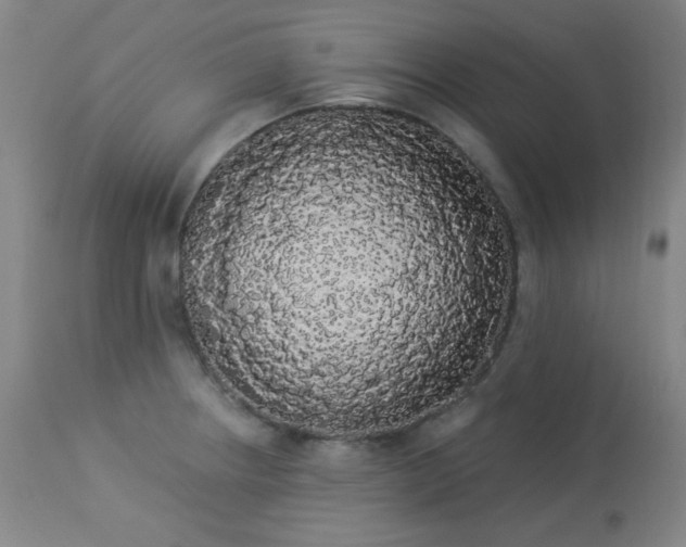 X0000113981234200910021129