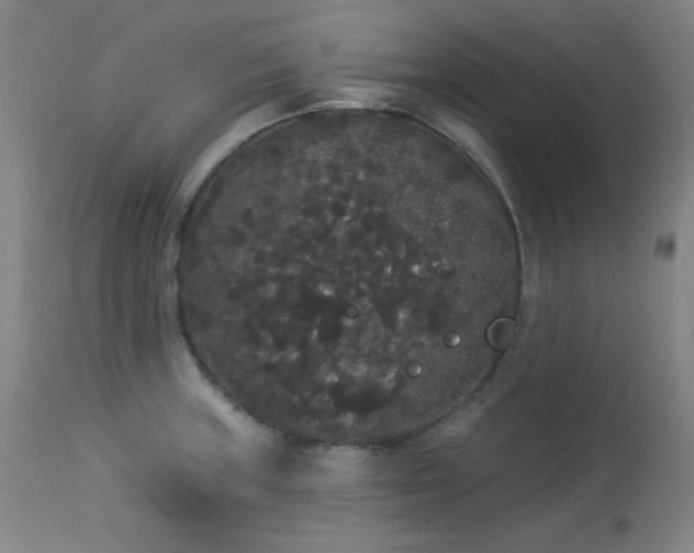 X0000113981235200910021129