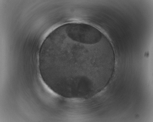 X0000113981239200910021129