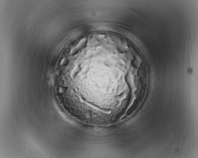 X0000113981241200910021129