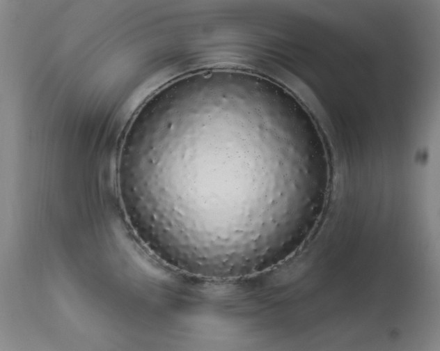 X0000113981242200910021129