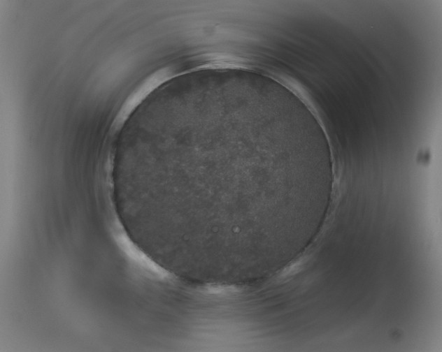 X0000113981243200910021129