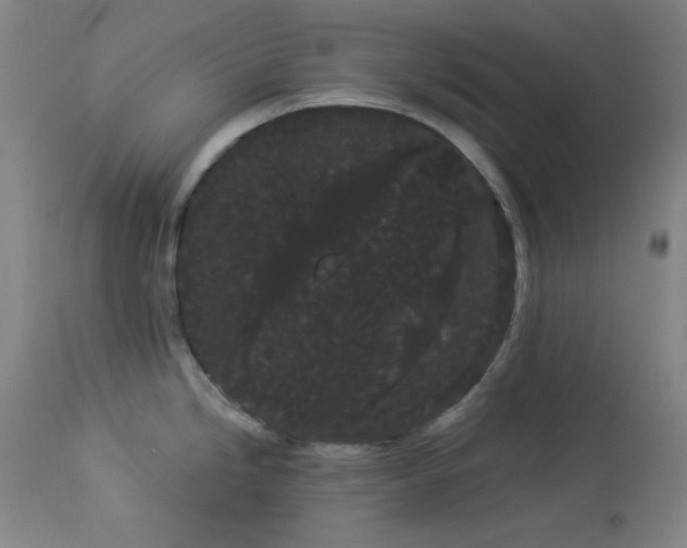 X0000113981246200910021129