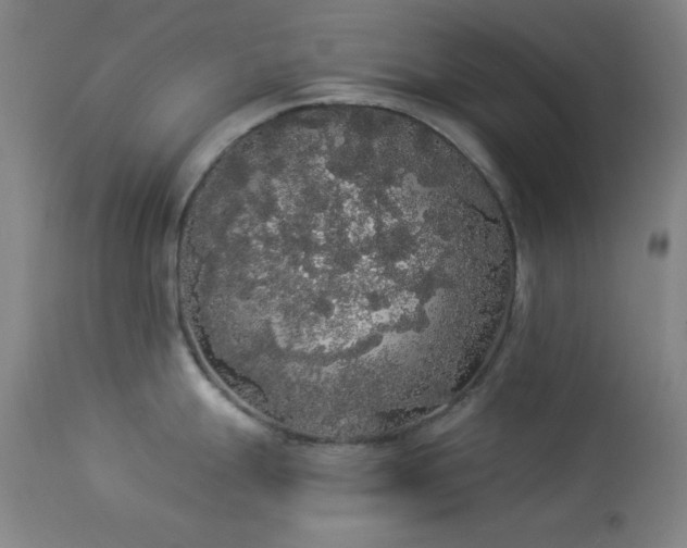 X0000113981247200910021129