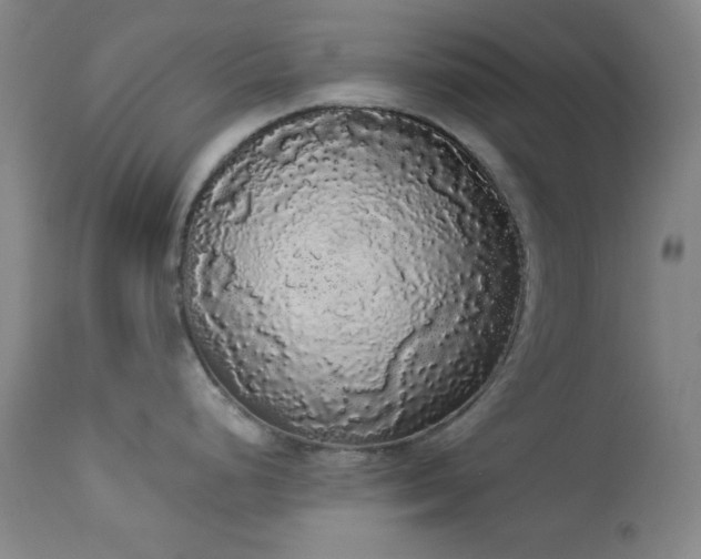 X0000113981248200910021129