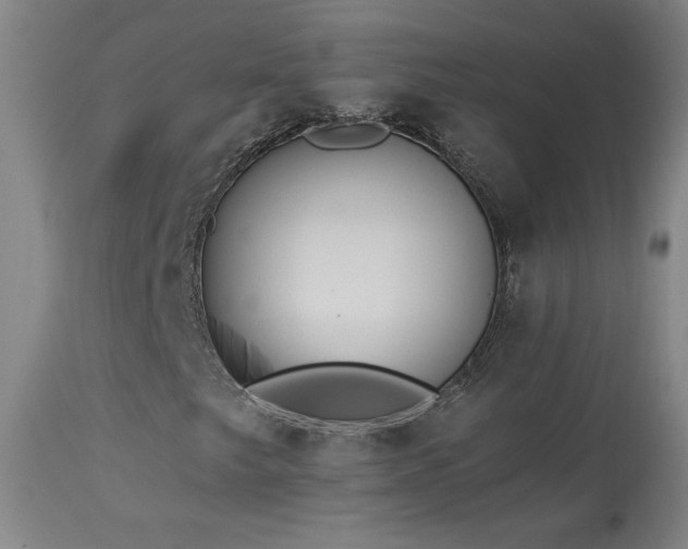 X0000113981249200910021128
