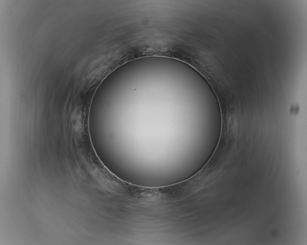 X0000113981250200910021128