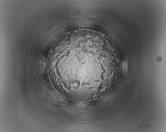 X0000113981251200910021128
