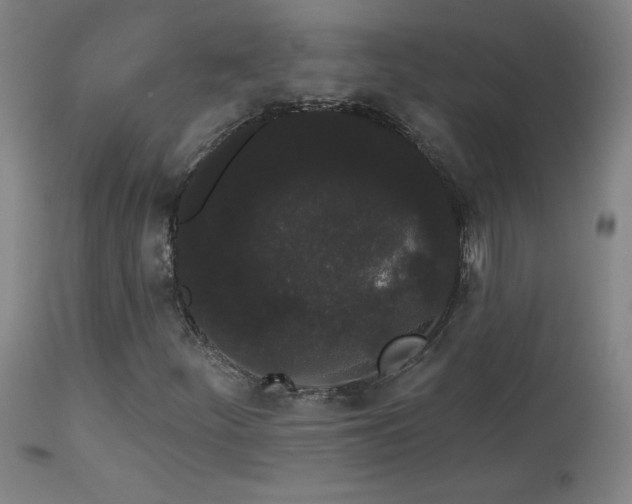 X0000113981252200910021128