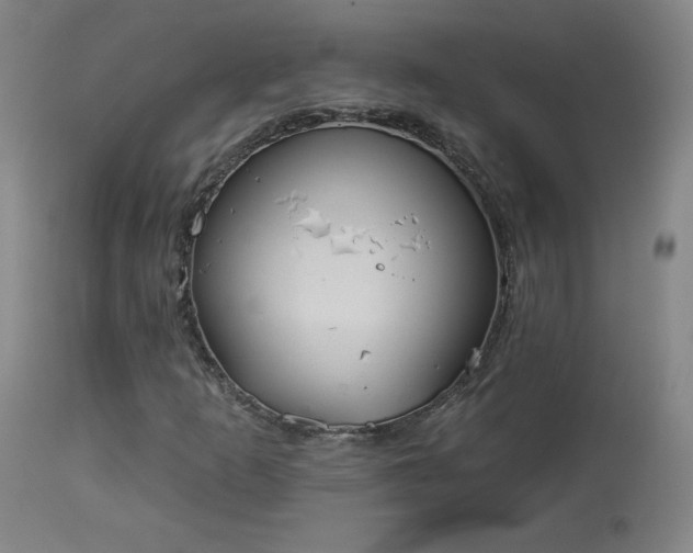 X0000113981253200910021128