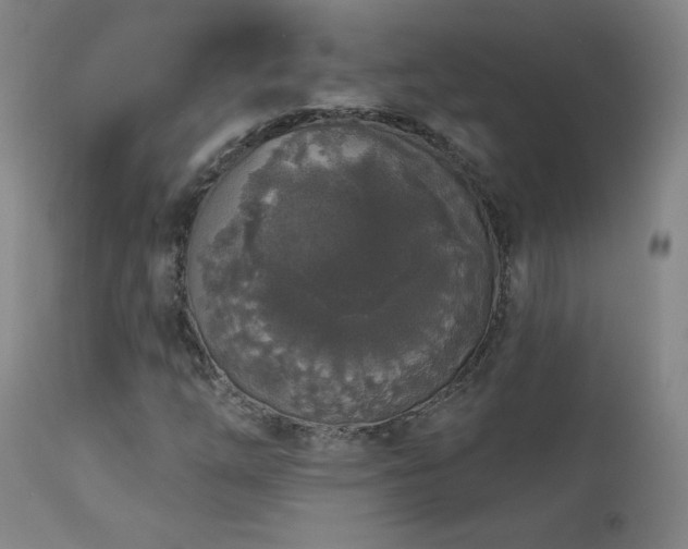 X0000113981254200910021128