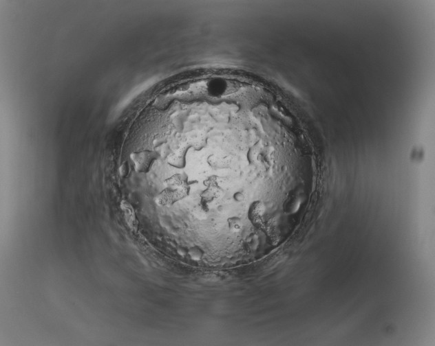 X0000113981255200910021128