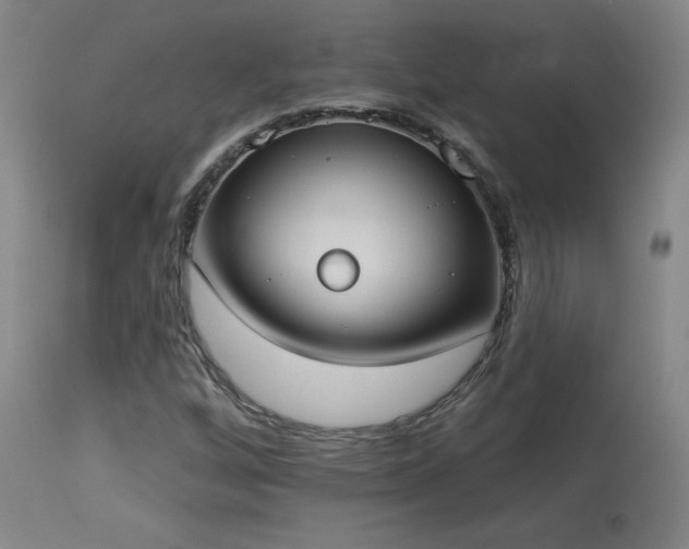 X0000113981256200910021128