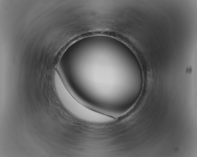 X0000113981257200910021128