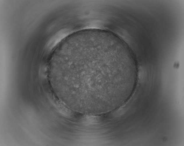 X0000113981258200910021128