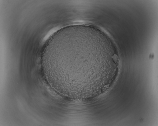 X0000113981259200910021128